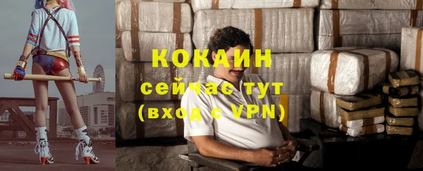 крисы Абдулино